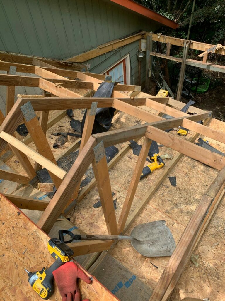 Meet Aaron Rice - Bold Journey Magazine