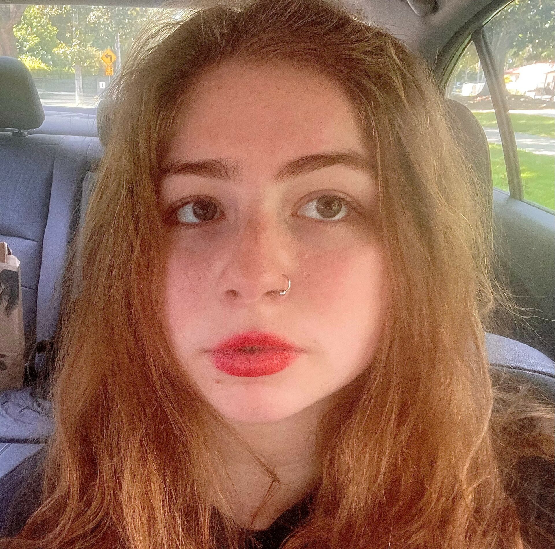 Zoeistheprincess's Inspiring Journey