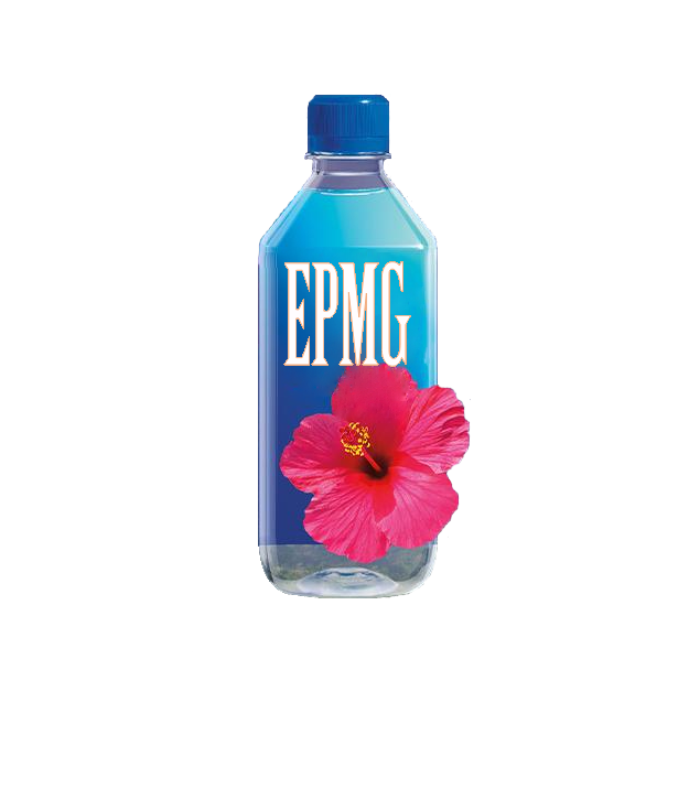 Meet EPMG.fiji