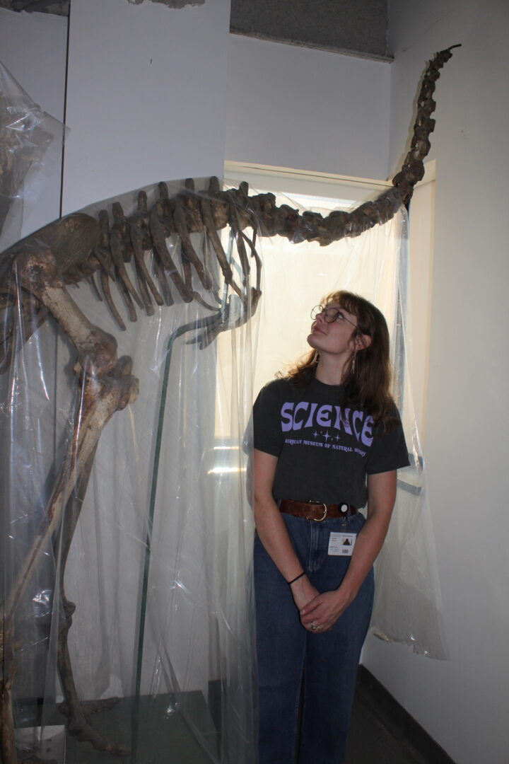 Meet Mattison Shreero