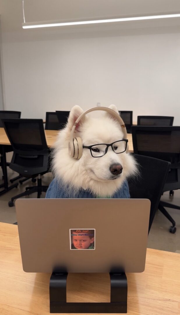 Meet Noelle Donaldson