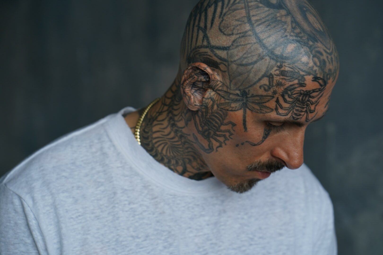 Meet Mike Amoia