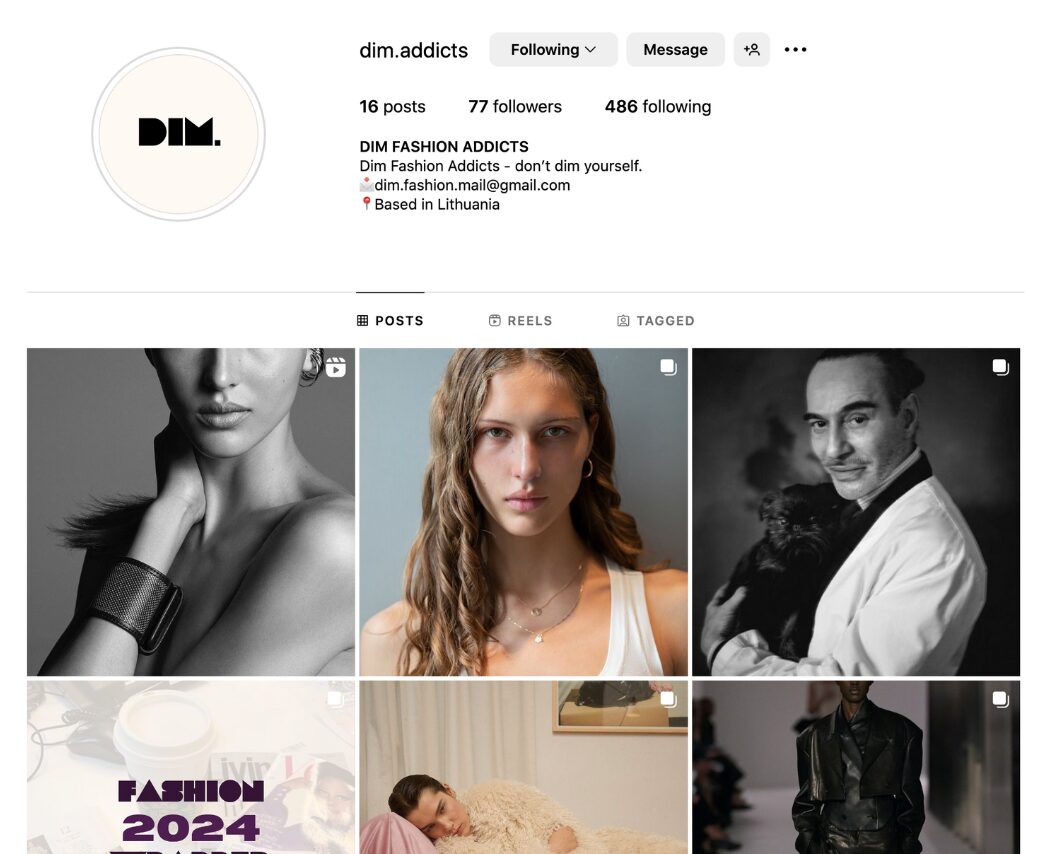 Meet Dim Fashion