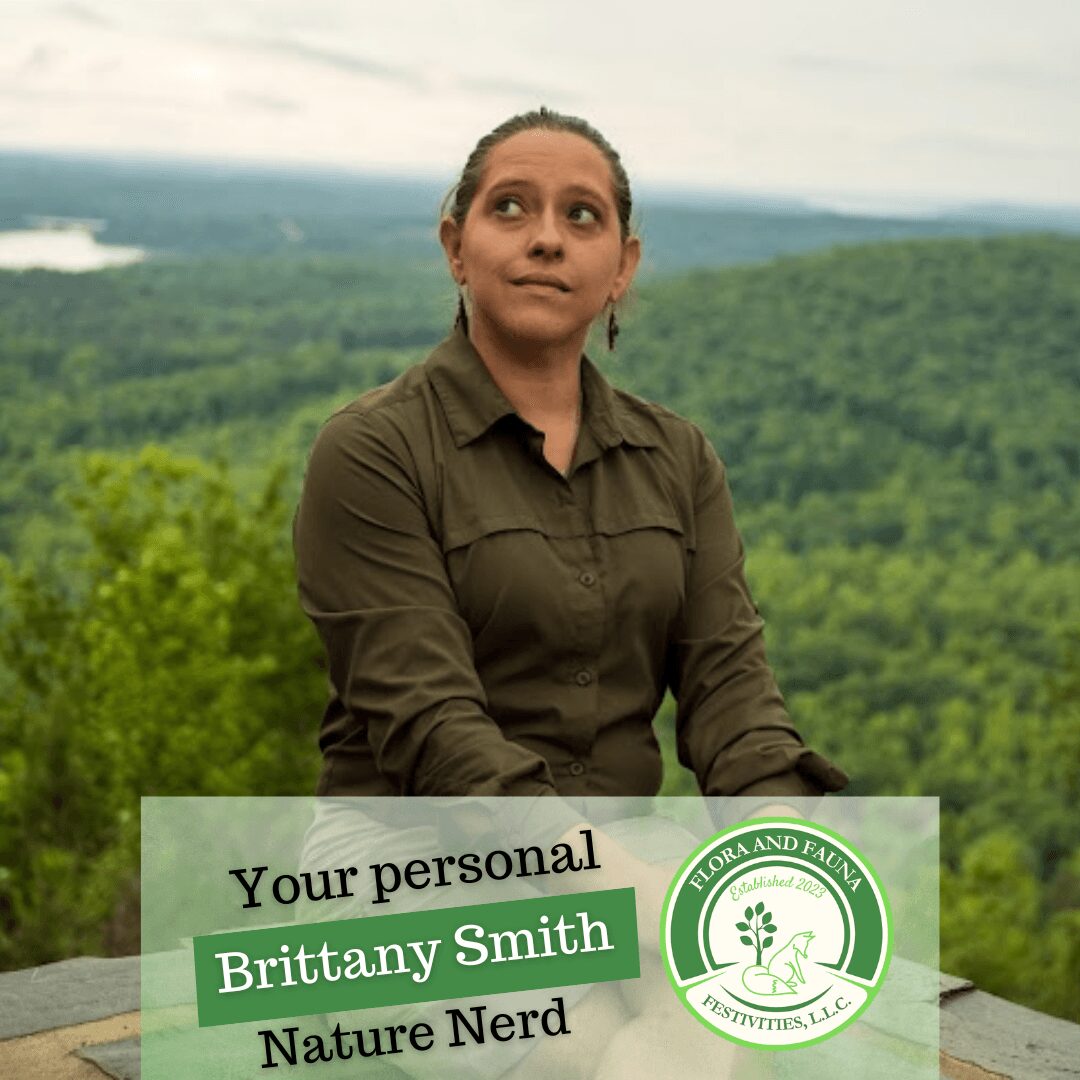 Meet Brittany Smith