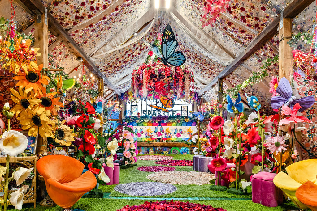 Meet Stacy  Harshman