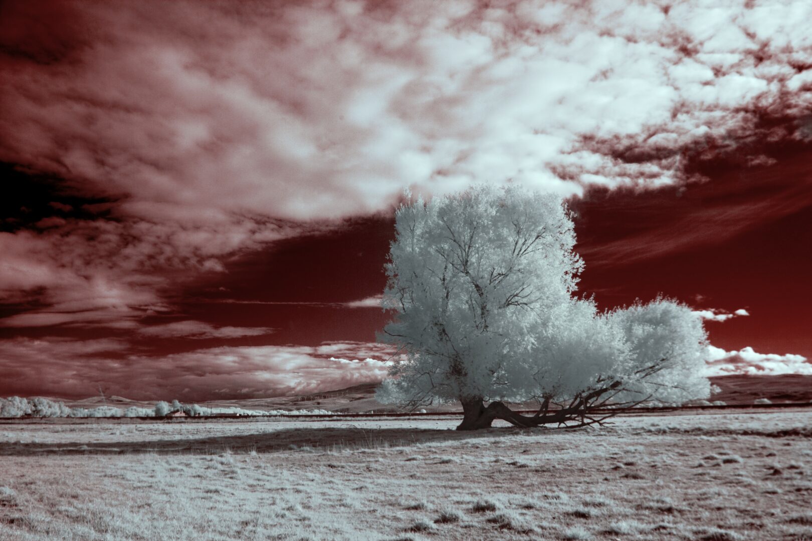 What have been the defining wounds of your life—and how have you healed them?