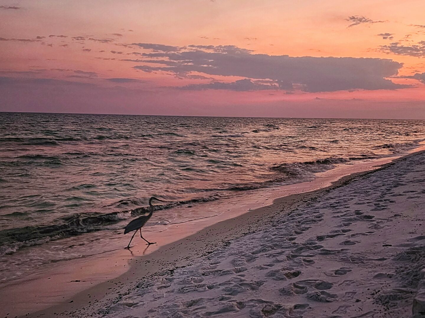 What makes you lose track of time—and find yourself again?