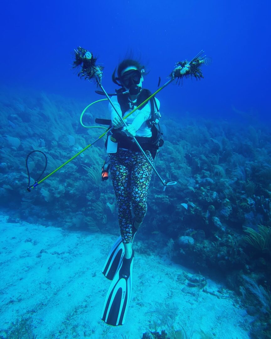 Person scuba diving underwater holding a yellow measuring stick with coral in background.