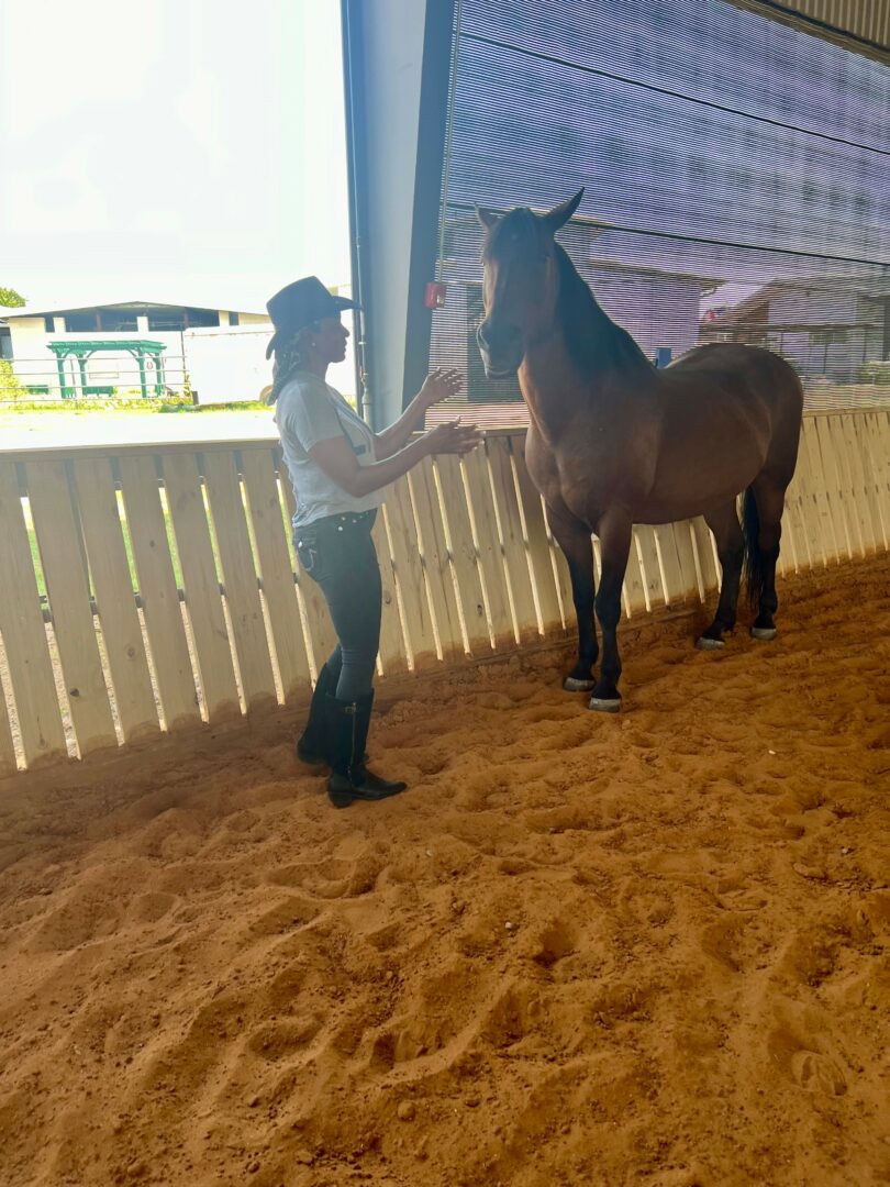Person in a hat and jeans interacts with a horse inside a fenced area with sandy ground.